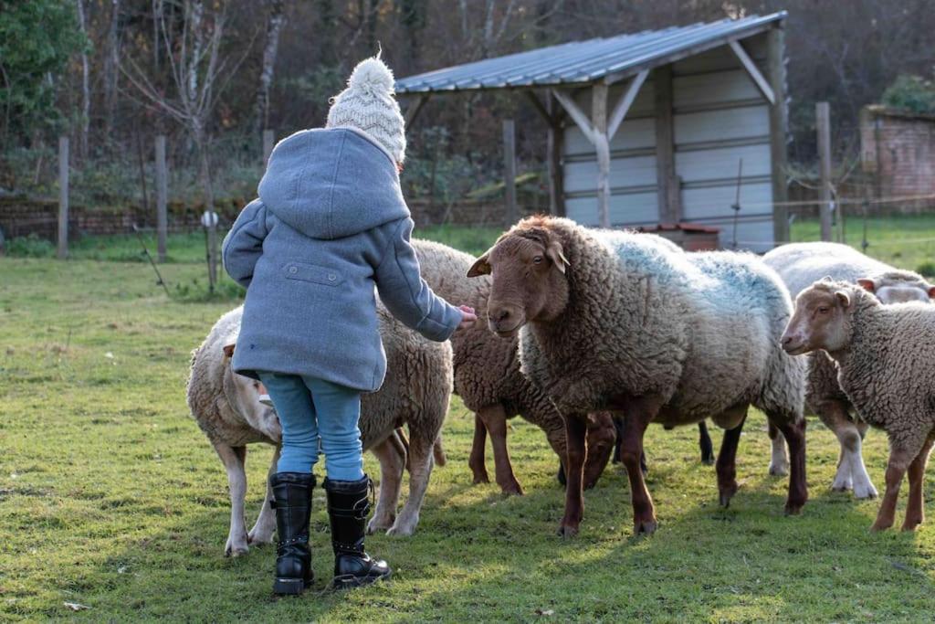 Maison Au Milieu Des Bois Et Des Animaux Jouy-le-Potier Eksteriør billede
