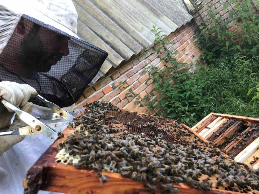 Maison Au Milieu Des Bois Et Des Animaux Jouy-le-Potier Eksteriør billede